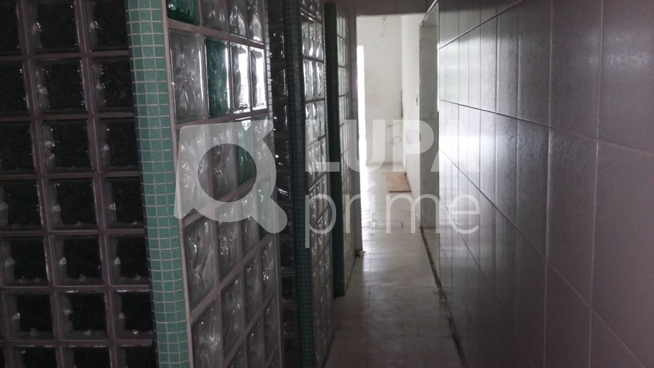 predio-locacao-sao-paulo-agua-fria-7vagas-380m2-LS41769