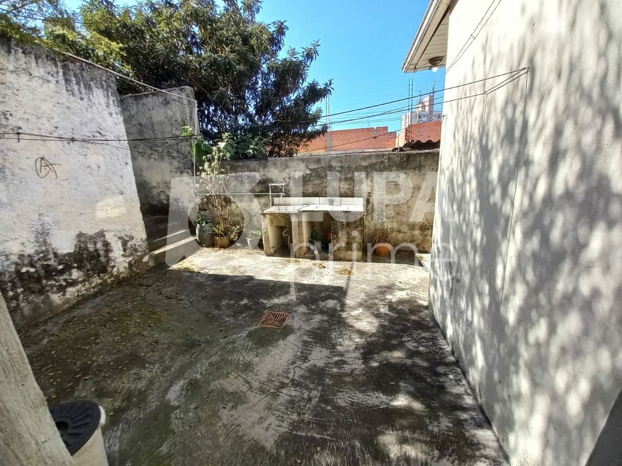 casa-terrea-venda-sao-paulo-vila-paiva-2dormitorios-4vagas-257m2-LS41789