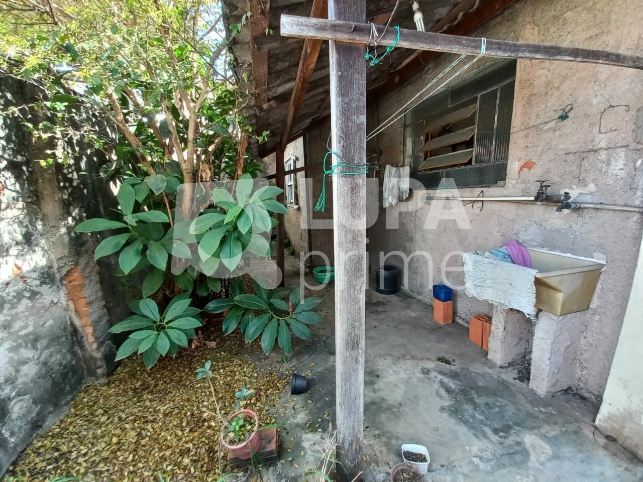 casa-terrea-venda-sao-paulo-vila-paiva-2dormitorios-4vagas-257m2-LS41789