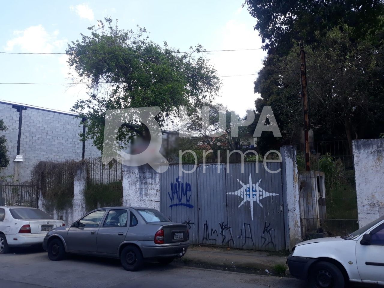 terreno-venda-sao-paulo-vila-nivi-1100m2-LS41810