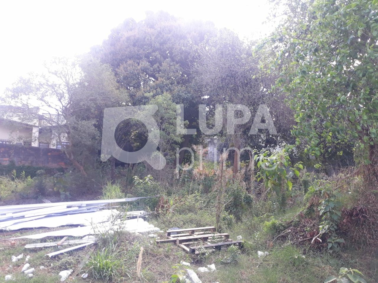 terreno-venda-sao-paulo-vila-nivi-1100m2-LS41810