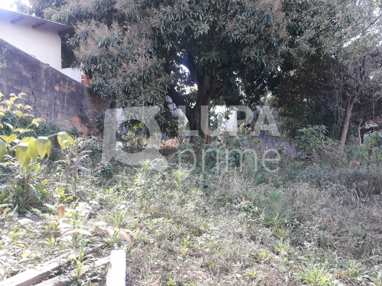 terreno-venda-sao-paulo-vila-nivi-1100m2-LS41810