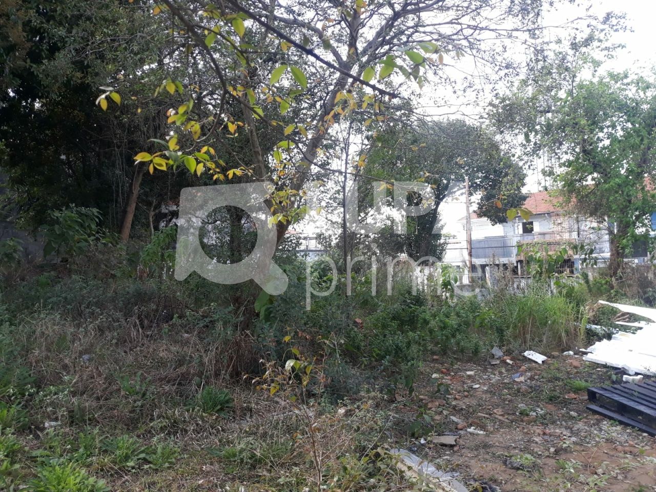 terreno-venda-sao-paulo-vila-nivi-1100m2-LS41810