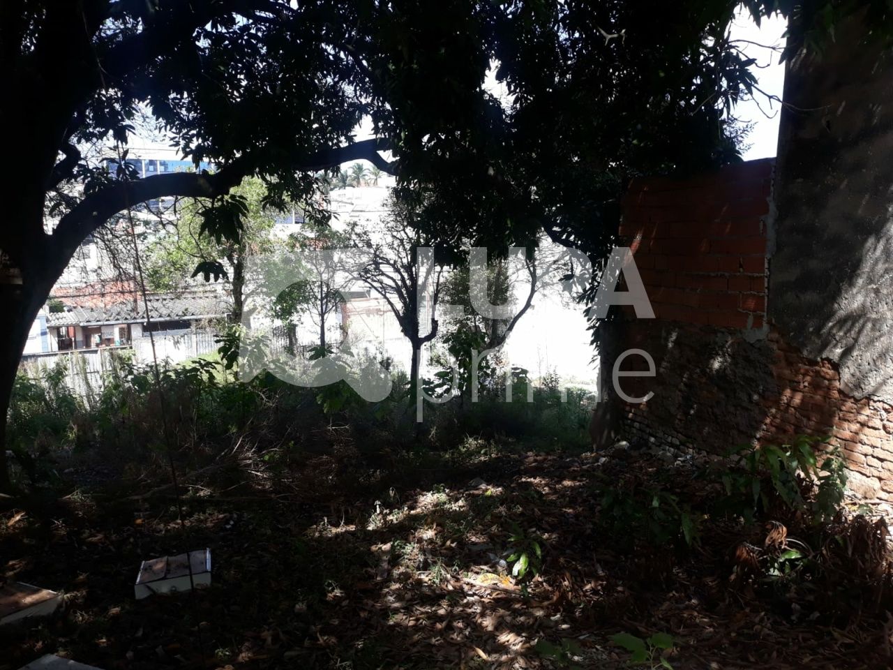 terreno-venda-sao-paulo-vila-nivi-1100m2-LS41810