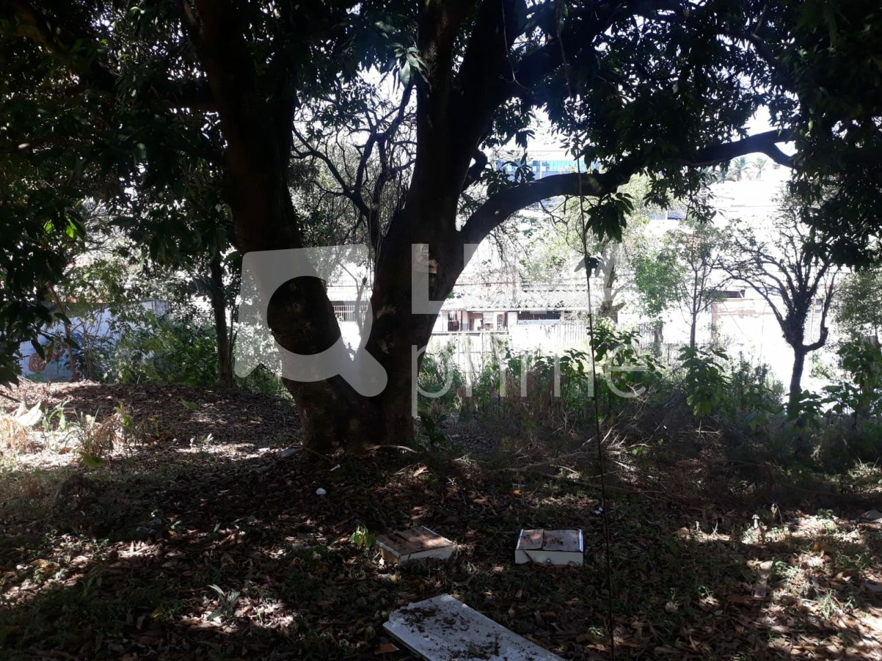 terreno-venda-sao-paulo-vila-nivi-1100m2-LS41810