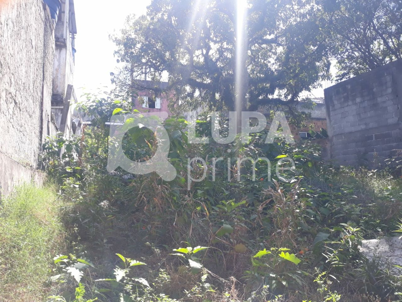 terreno-venda-sao-paulo-vila-nivi-1100m2-LS41810