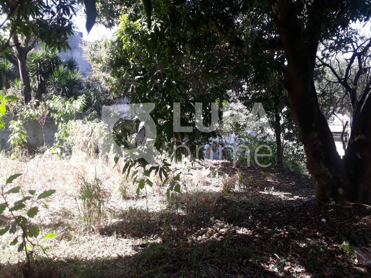 terreno-venda-sao-paulo-vila-nivi-1100m2-LS41810