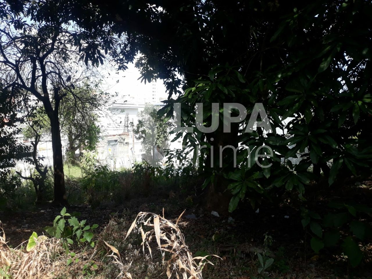 terreno-venda-sao-paulo-vila-nivi-1100m2-LS41810