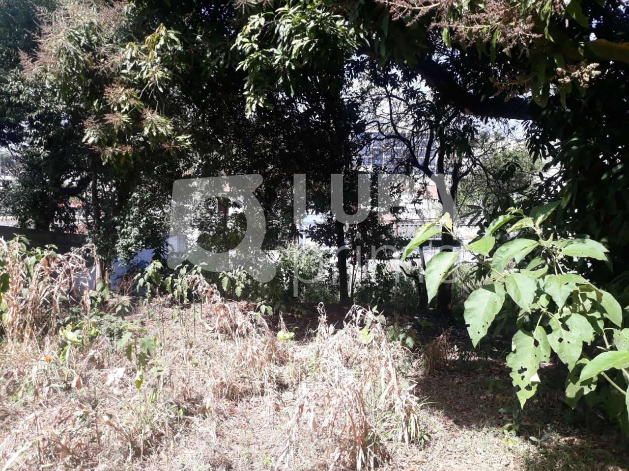 terreno-venda-sao-paulo-vila-nivi-1100m2-LS41810