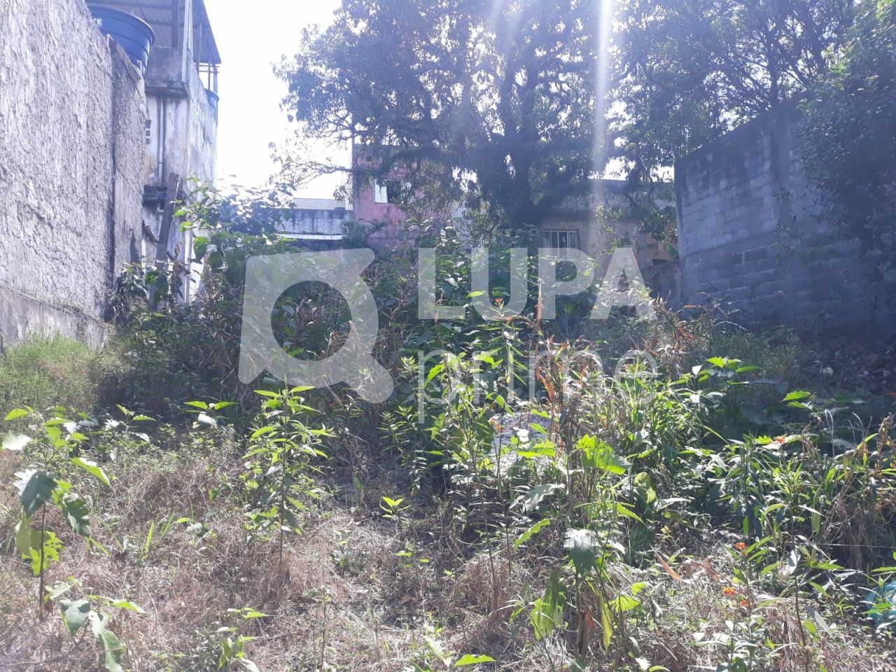 terreno-venda-sao-paulo-vila-nivi-1100m2-LS41810