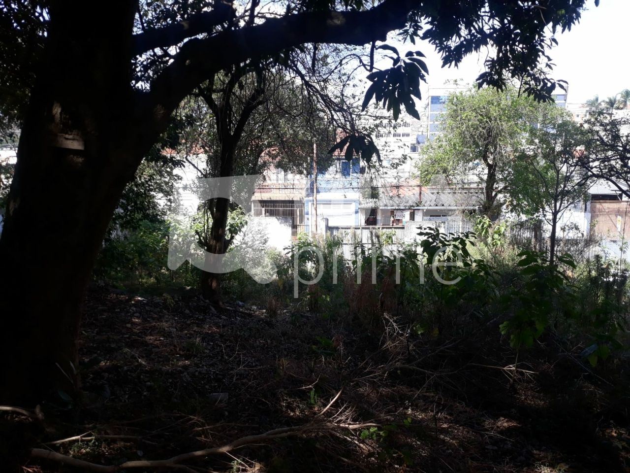 terreno-venda-sao-paulo-vila-nivi-1100m2-LS41810