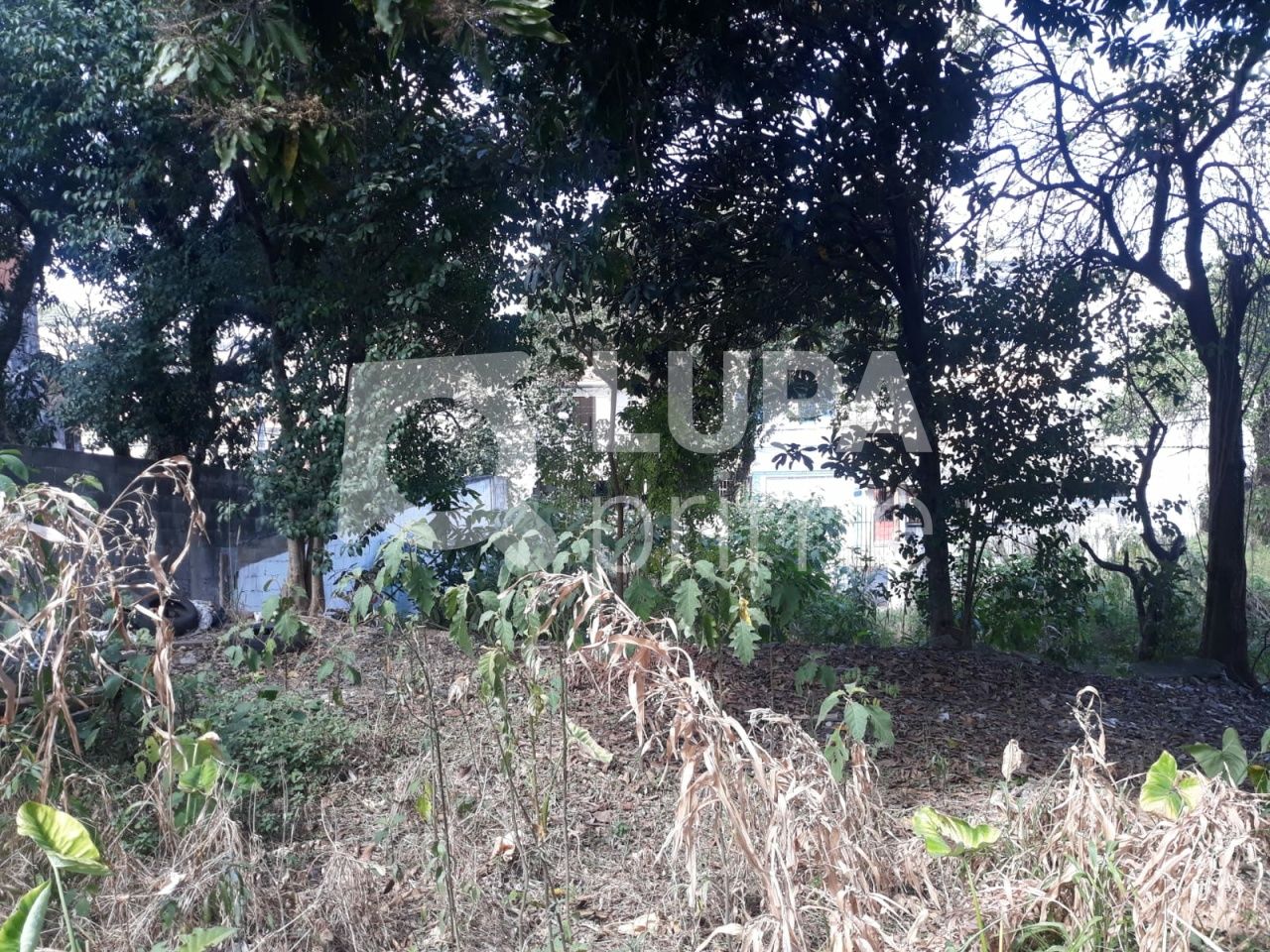 terreno-venda-sao-paulo-vila-nivi-1100m2-LS41810