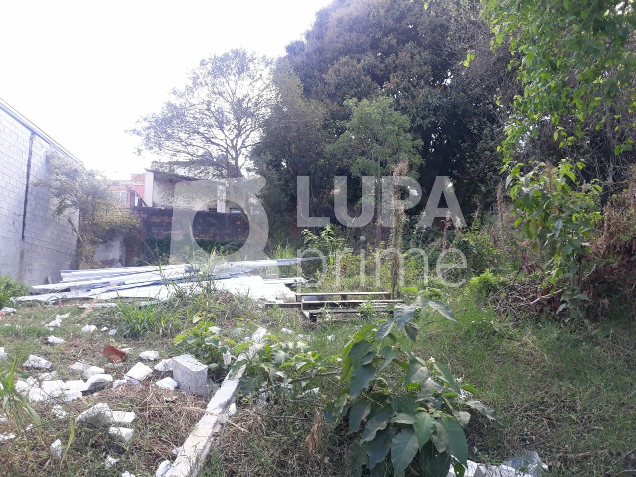 terreno-venda-sao-paulo-vila-nivi-1100m2-LS41810