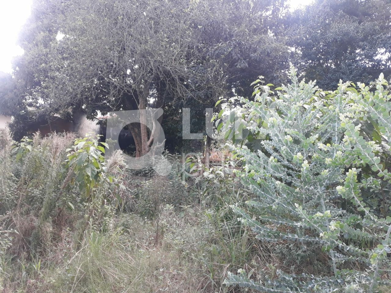 terreno-venda-sao-paulo-vila-nivi-1100m2-LS41810