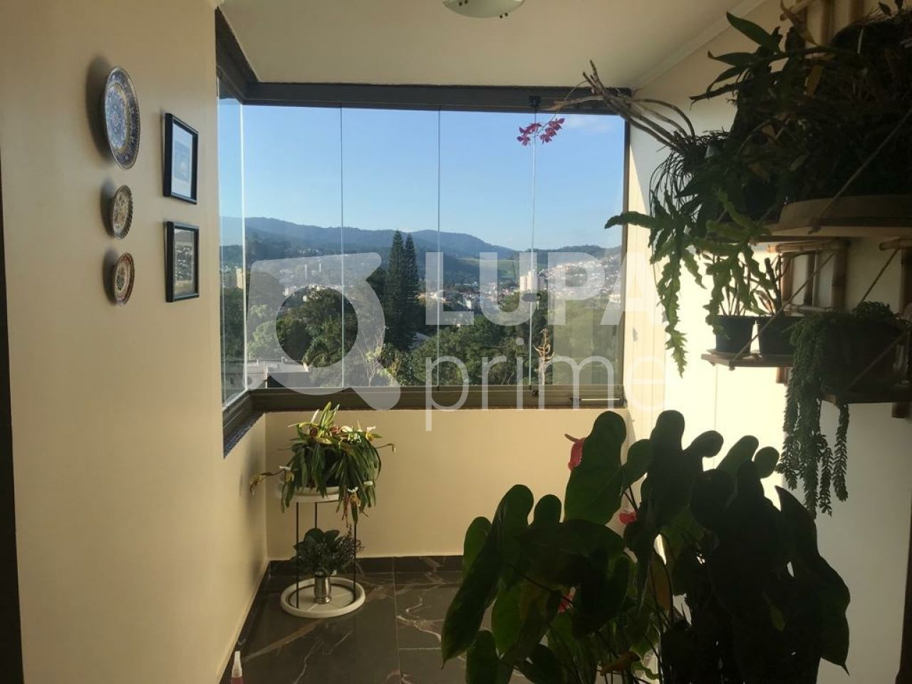 apartamento-locacao-sao-paulo-vila-albertina-3dormitorios-1suite-2vagas-155m2-LS41826