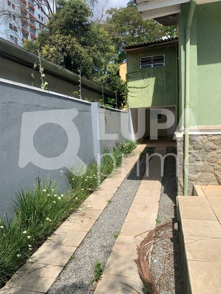 casa-terrea-locacao-sao-paulo-vila-albertina-3dormitorios-3suites-5vagas-320m2-LS41849