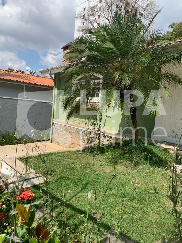 casa-terrea-locacao-sao-paulo-vila-albertina-3dormitorios-3suites-5vagas-320m2-LS41849