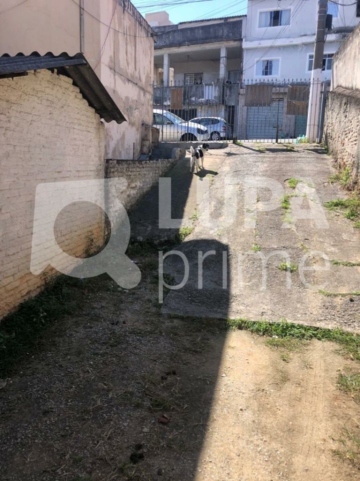 casa-terrea-venda-sao-paulo-vila-maria-alta-5dormitorios-1suite-250m2-LS41873