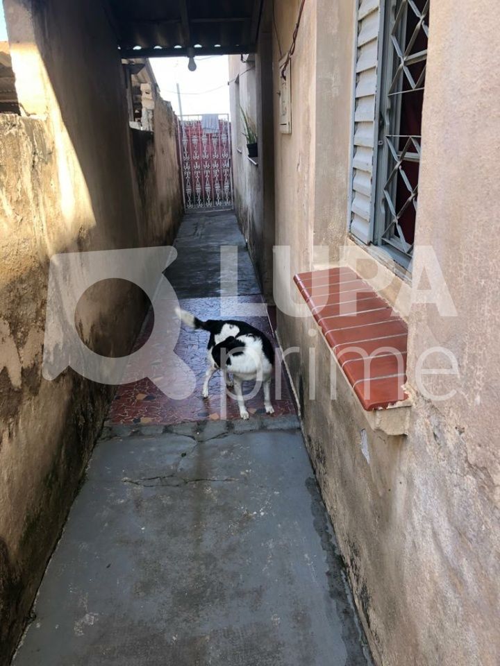 casa-terrea-venda-sao-paulo-vila-maria-alta-5dormitorios-1suite-250m2-LS41873