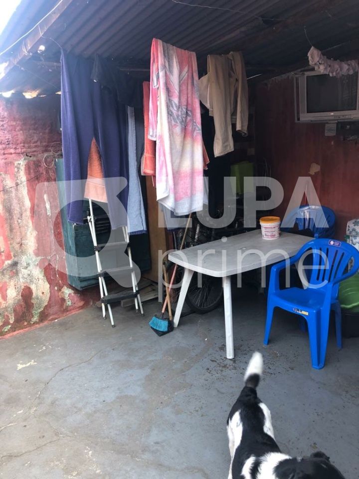 casa-terrea-venda-sao-paulo-vila-maria-alta-5dormitorios-1suite-250m2-LS41873