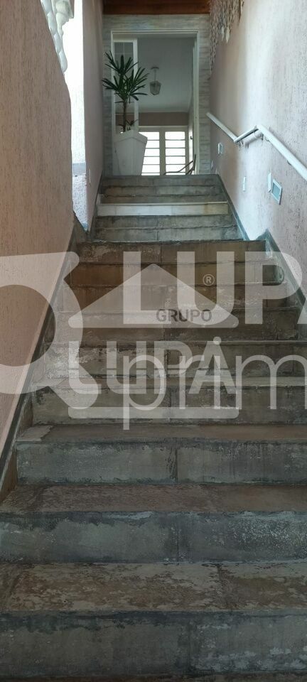 Casa, 3 quartos, 190 m² - Foto 13