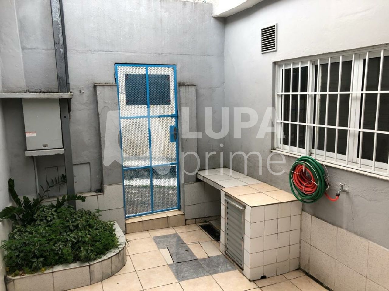 casa-terrea-venda-sao-paulo-vila-ede-3dormitorios-2vagas-150m2-LS41930