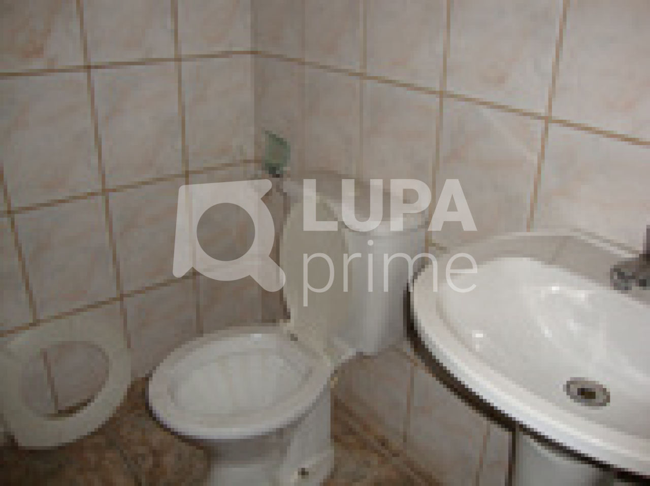 galpao-venda-sao-paulo-parada-inglesa-465m2-LS41956