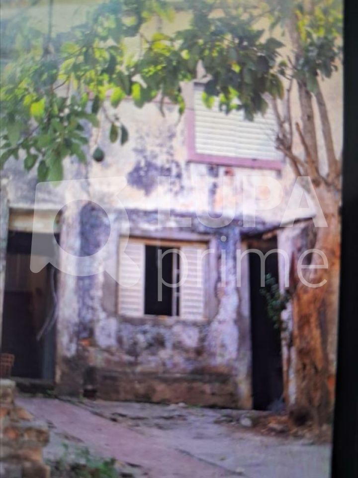 terreno-venda-sao-paulo-tucuruvi-120m2-LS41992