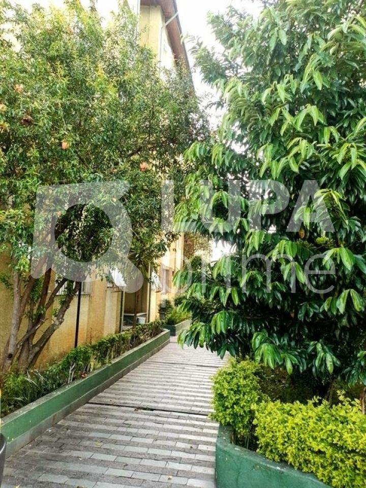 apartamento-venda-sao-paulo-vila-nova-cachoeirinha-2dormitorios-1vaga-75m2-LS42095