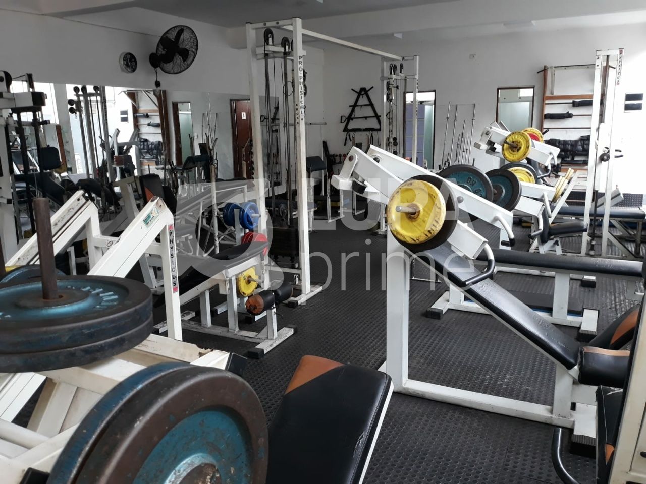 salao-venda-sao-paulo-agua-fria-5vagas-228m2-LS42100