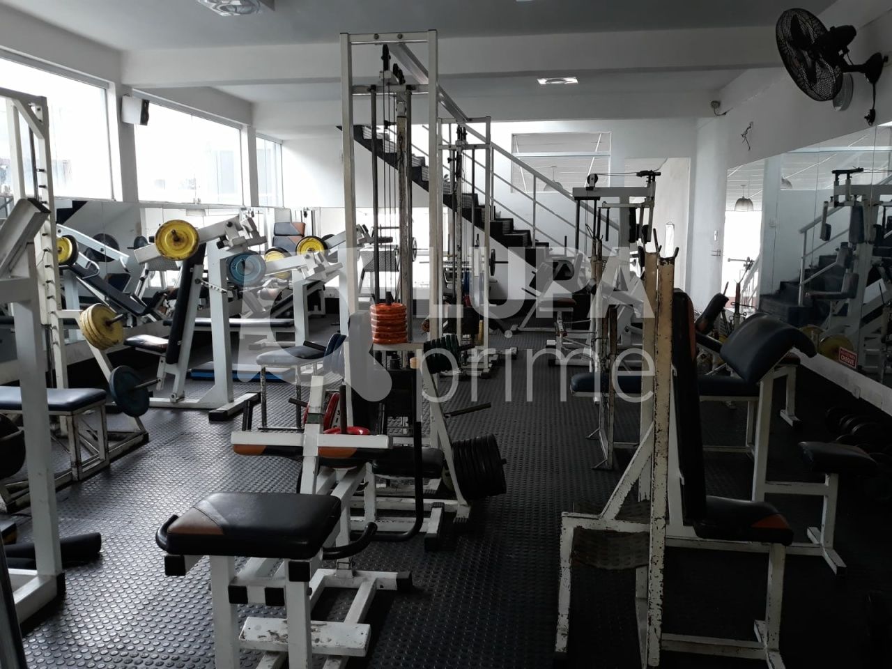 salao-venda-sao-paulo-agua-fria-5vagas-228m2-LS42100