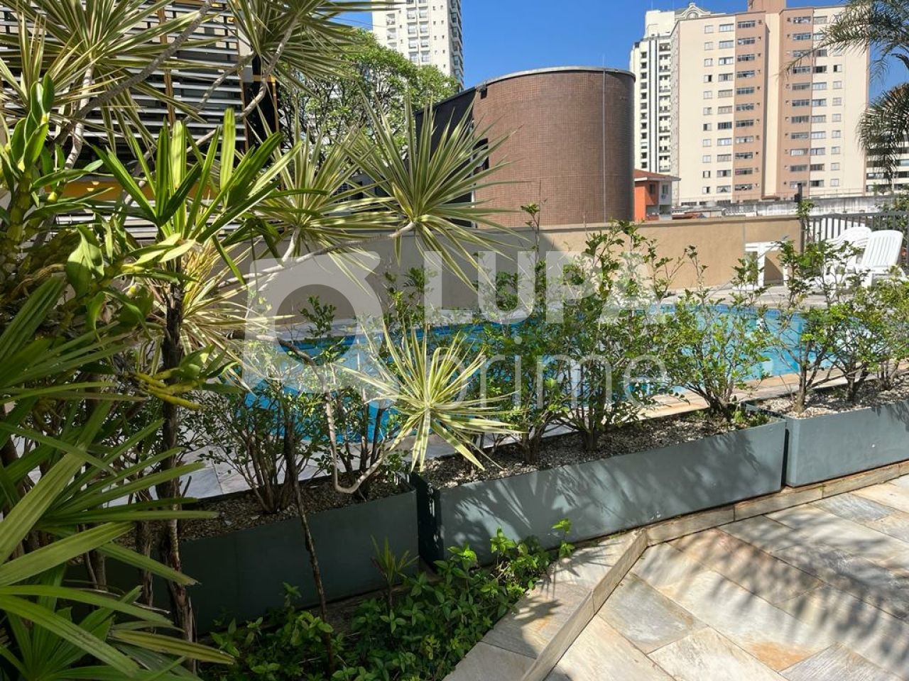 apartamento-locacao-sao-paulo-santana-1dormitorio-1vaga-36m2-LS42109