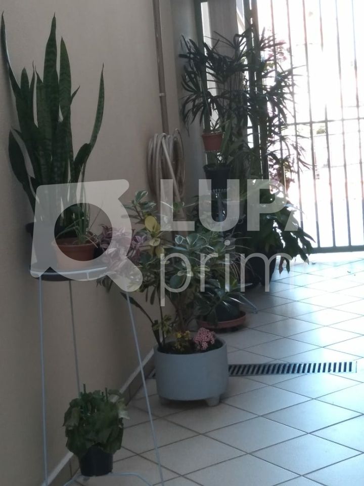 sobrado-venda-sao-paulo-jardim-sao-paulo-3dormitorios-1suite-3vagas-168m2-LS42113