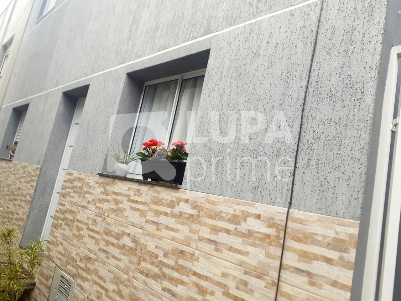 casa-terrea-venda-sao-paulo-santa-teresinha-1dormitorio-45m2-LS42118