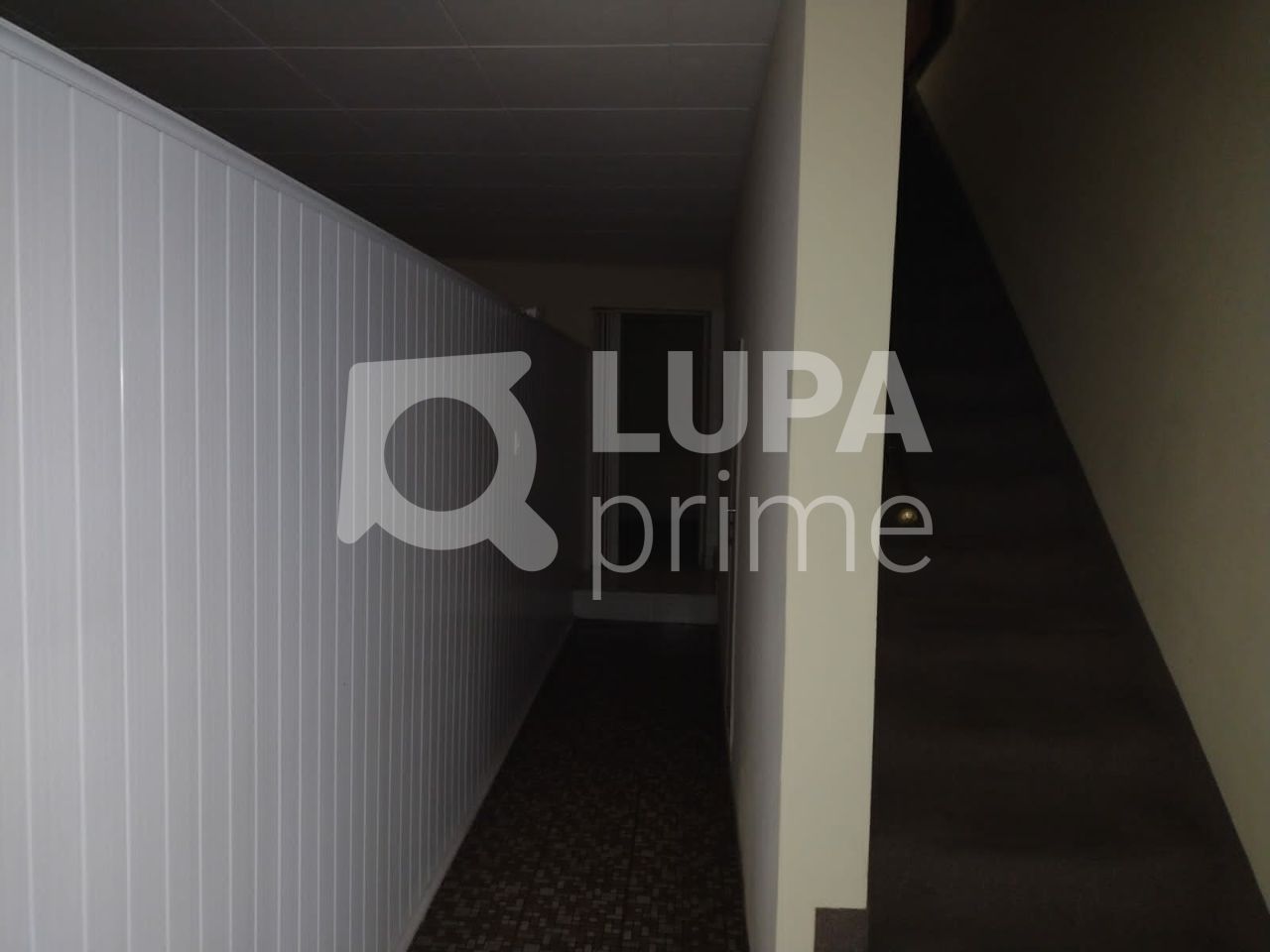 predio-locacao-sao-paulo-tucuruvi-3vagas-274m2-LS42180