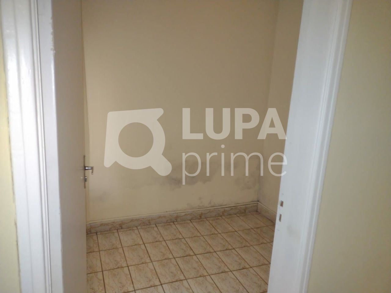 predio-locacao-sao-paulo-tucuruvi-3vagas-274m2-LS42180