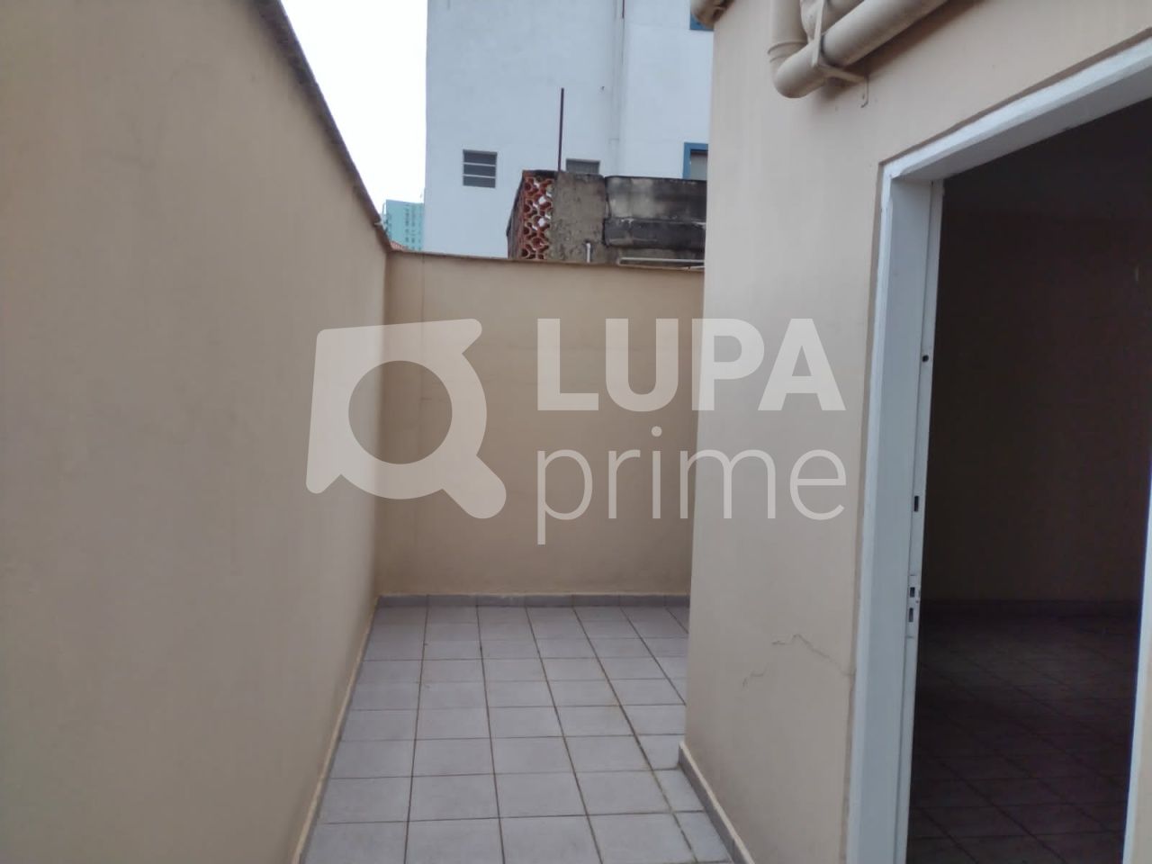 predio-locacao-sao-paulo-tucuruvi-3vagas-274m2-LS42180