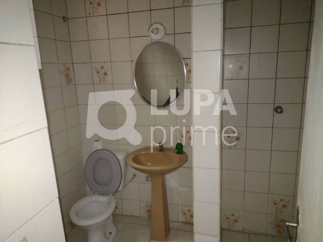predio-locacao-sao-paulo-tucuruvi-3vagas-274m2-LS42180