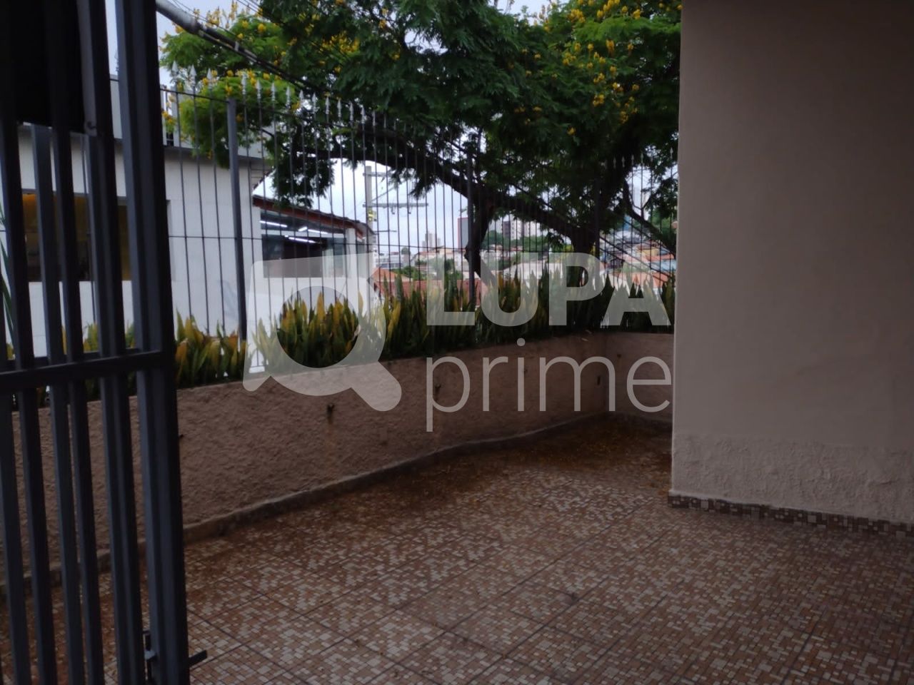 predio-locacao-sao-paulo-tucuruvi-3vagas-274m2-LS42180