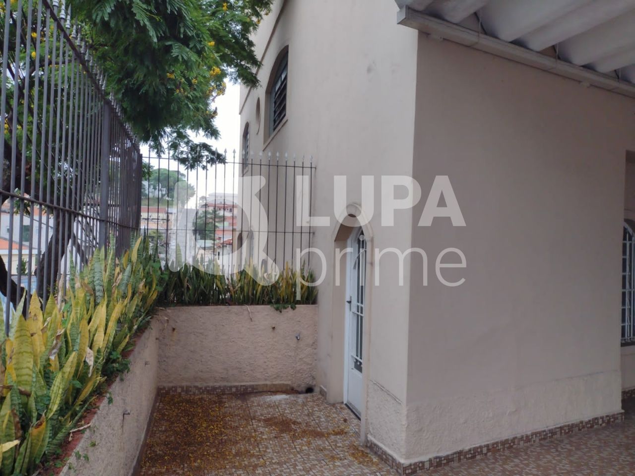 predio-locacao-sao-paulo-tucuruvi-3vagas-274m2-LS42180