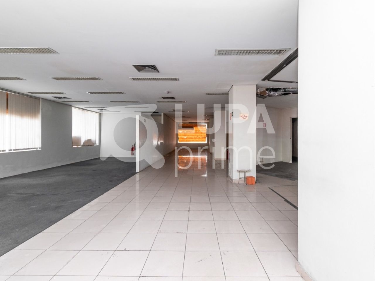 Sala-Conjunto, 700 m² - Foto 3