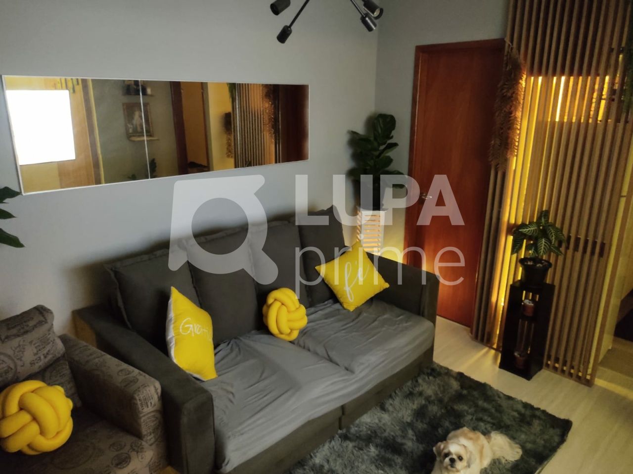 apartamento-venda-sao-paulo-vila-aurora-zona-norte-1dormitorio-1vaga-36m2-LS42269