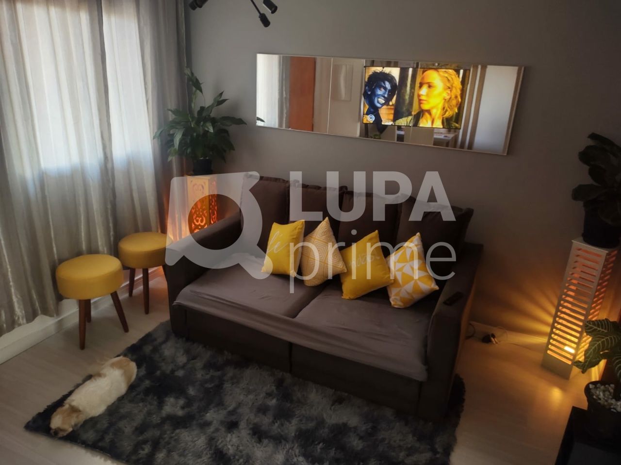 apartamento-venda-sao-paulo-vila-aurora-zona-norte-1dormitorio-1vaga-36m2-LS42269