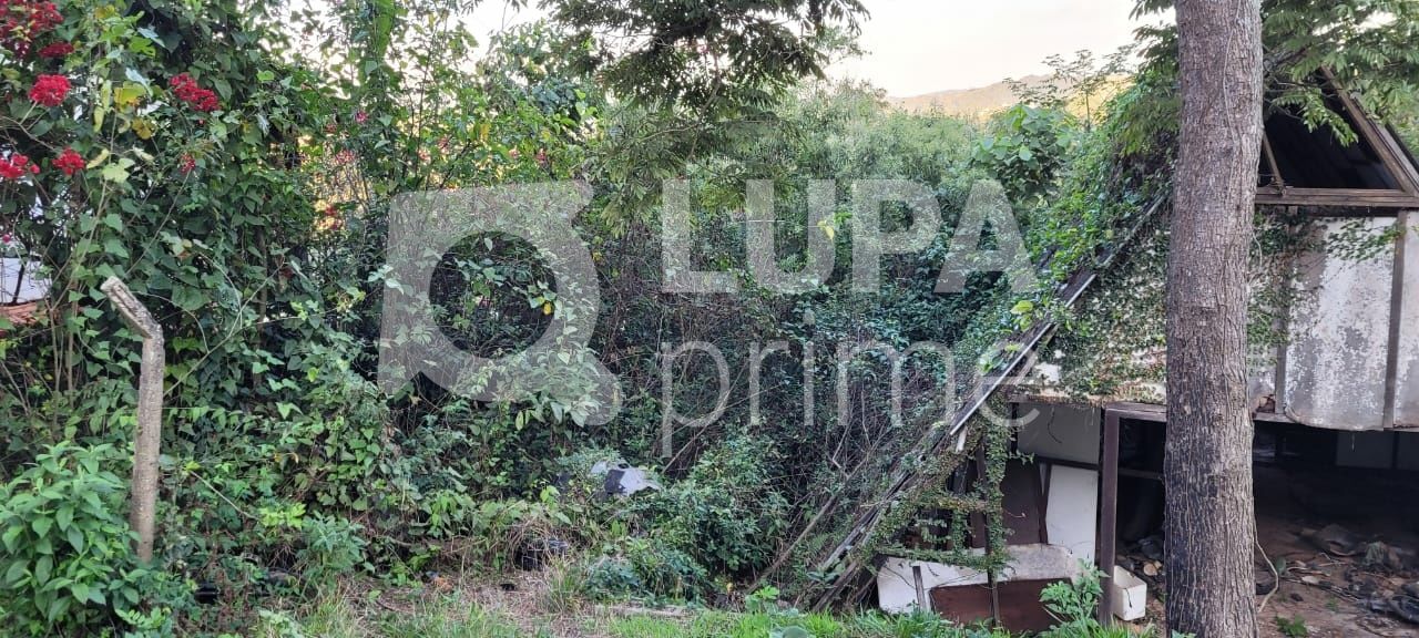 Terreno, 1600 m² - Foto 6