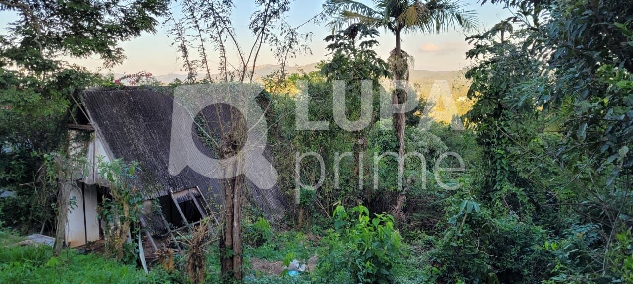 Terreno, 1600 m² - Foto 4