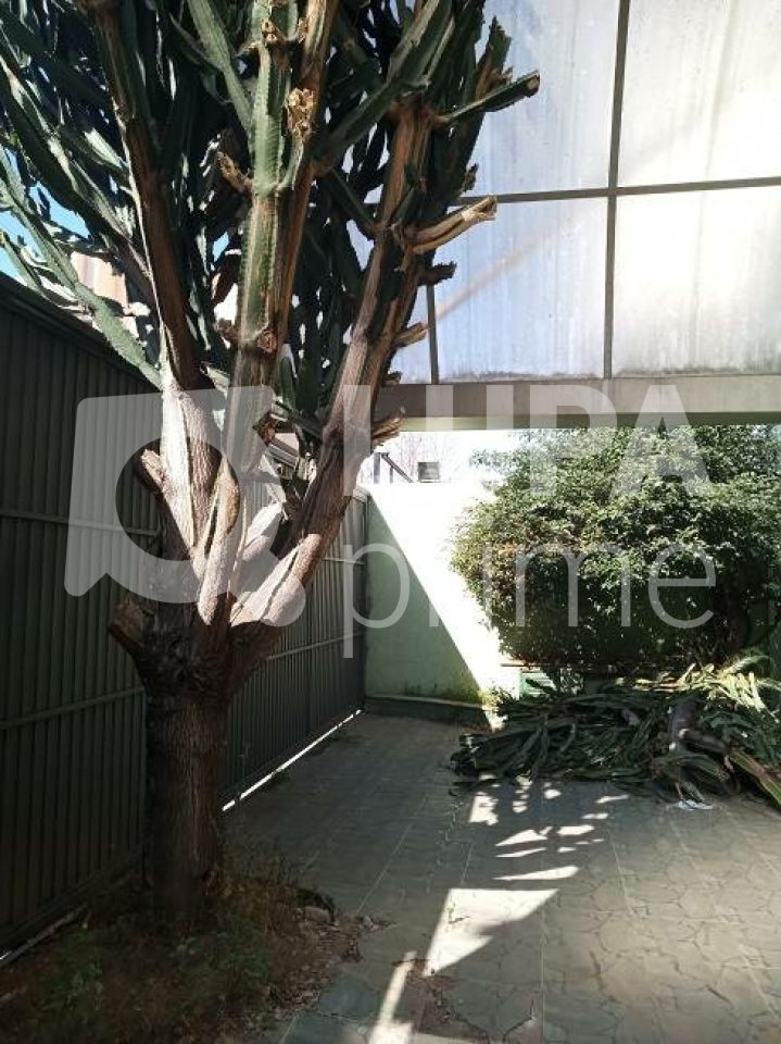 predio-venda-sao-paulo-santana-1500m2-LS42299