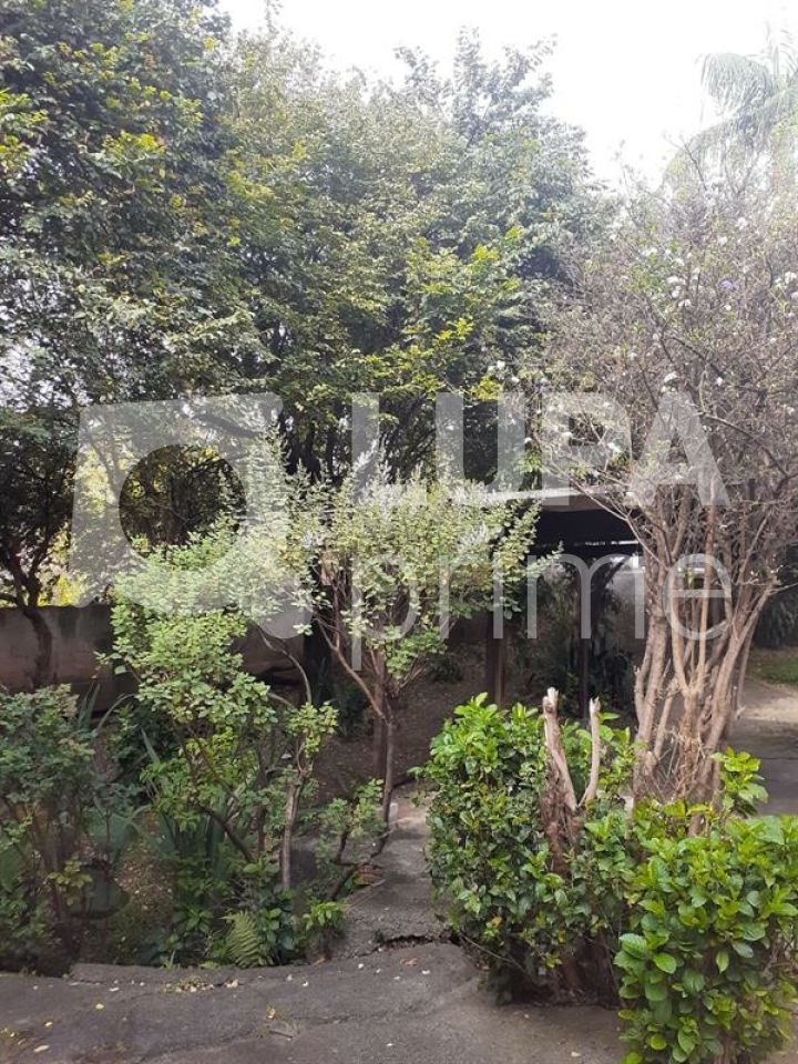 terreno-venda-sao-paulo-vila-pereira-cerca-LS42311