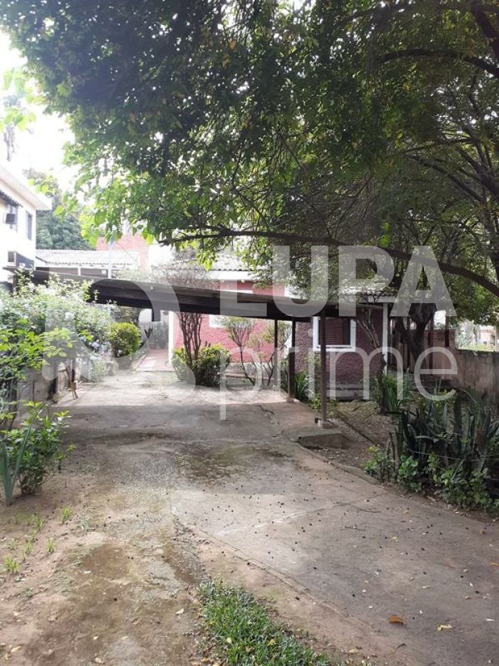 terreno-venda-sao-paulo-vila-pereira-cerca-LS42311