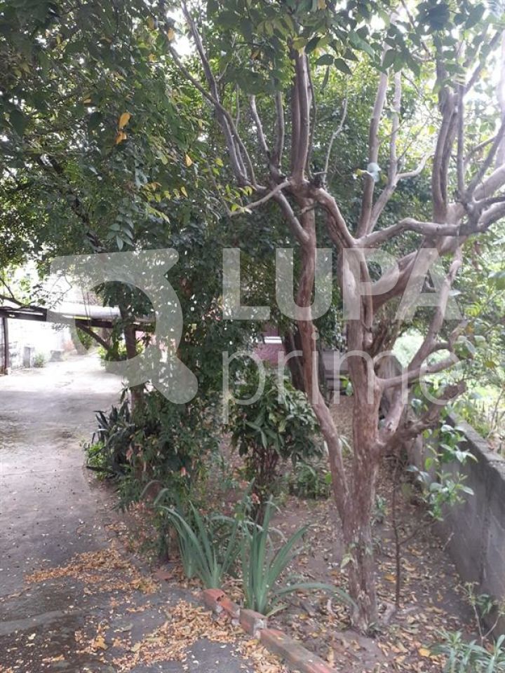 terreno-venda-sao-paulo-vila-pereira-cerca-LS42311