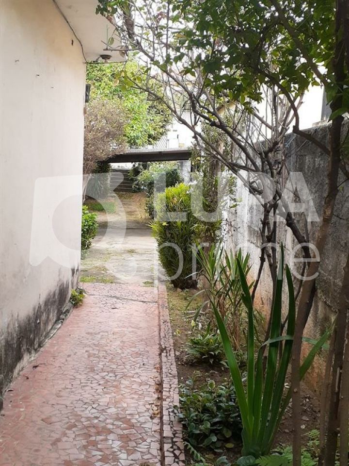 terreno-venda-sao-paulo-vila-pereira-cerca-LS42311